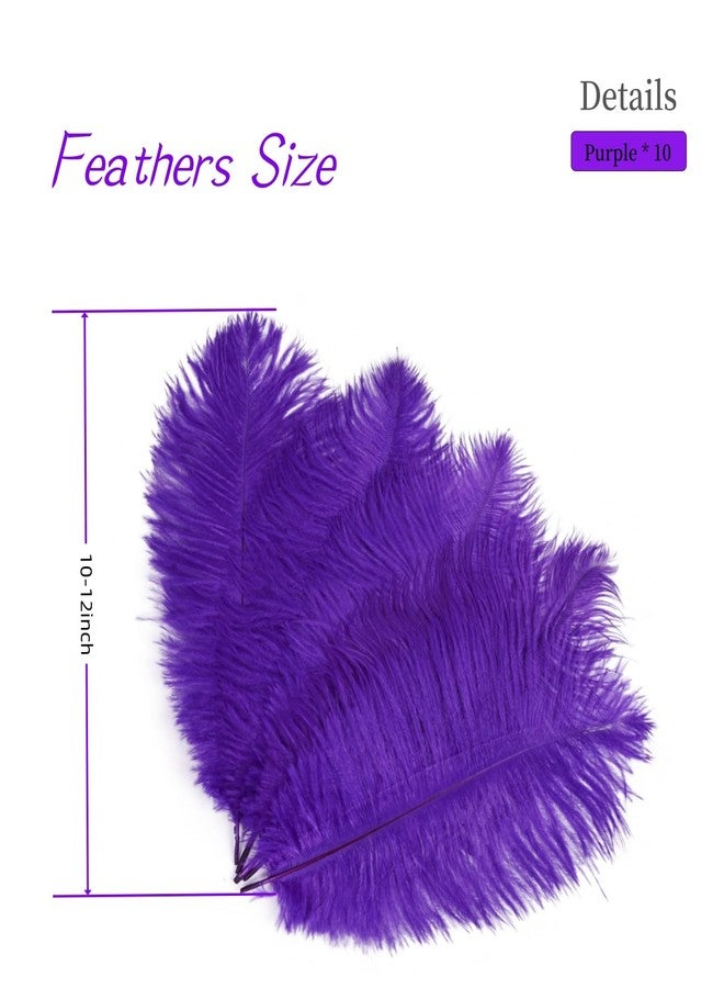 Shekyeon Purple 10-12inch 25-30cm Ostrich Feather Home Decoration DIY Craft Pack of 10 - Image 3