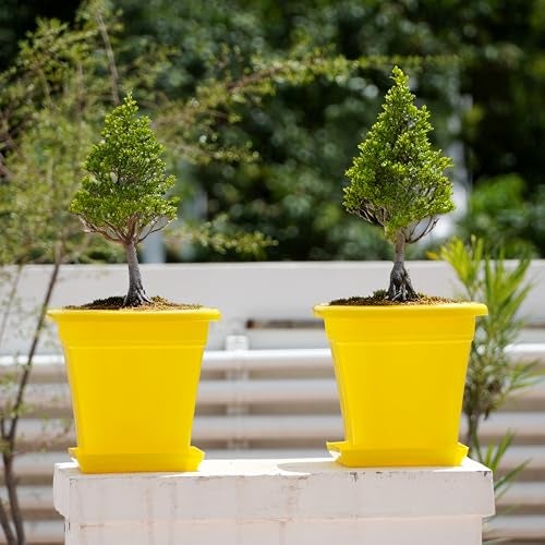 Livzing 9 Inch Flower Pots with Bottom Tray | Indoor and Outdoor Flower Pot for Home, Office, Garden, Balcony | UV Resistant-Virgin Plastic- Square Planters for Plants - Pack of 5 -Yellow - Image 5