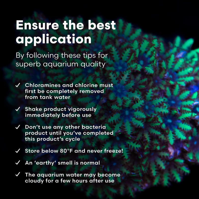 Brightwell Aquatics برايتويل أكواتيكس مايكروباكتير ستارت XLM - بكتيريا نيتريفينغ مركزة للمياه المالحة - بداية سريعة لحوض السمك، رفع مستويات الميكروبات وتنقية المياه - علاجات الأكواريوم البحرية، 8.45 أونصة سائلة - Image 5