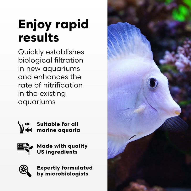 Brightwell Aquatics برايتويل أكواتيكس مايكروباكتير ستارت XLM - بكتيريا نيتريفينغ مركزة للمياه المالحة - بداية سريعة لحوض السمك، رفع مستويات الميكروبات وتنقية المياه - علاجات الأكواريوم البحرية، 8.45 أونصة سائلة - Image 2