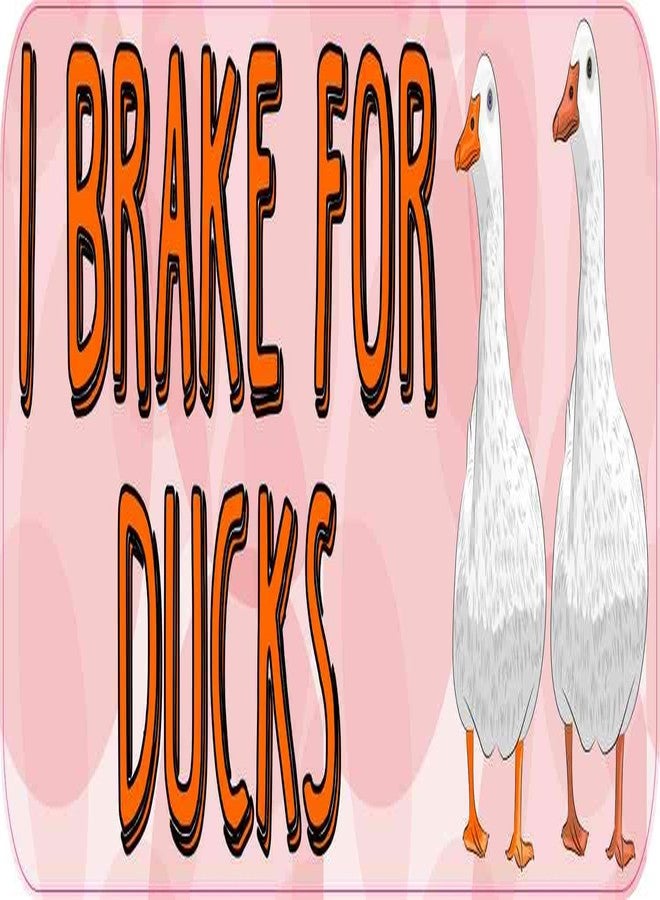 ملصق فينيل StickerTalk I Brake for Ducks، مقاس 10 بوصات × 3 بوصات