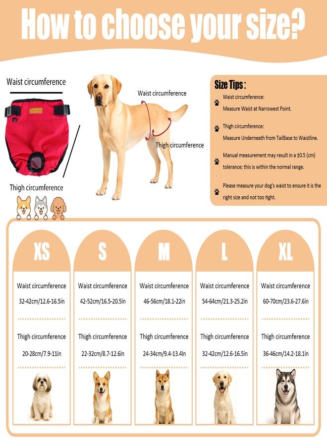 Colenumone 2-Pack Dog Diapers Female |Puppy Essentials Washable & Reusable,Suitable for Period Diapers, Dog Pants to Prevent Licking（Black&red）（M） - Image 2