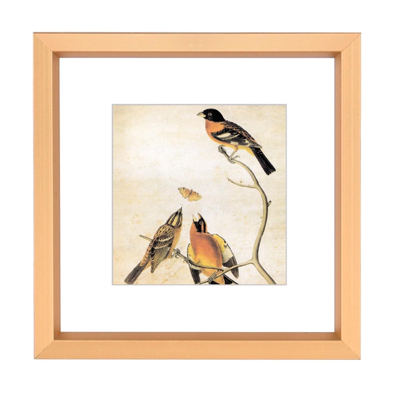 BKABOT 11x14 Picture Frame  Gold Metal Photo Frames with HD Glass  Fits 8x10 with Mat or 11 x 14 without Mat  Display for Wall and Table  1 Pack - Image 1
