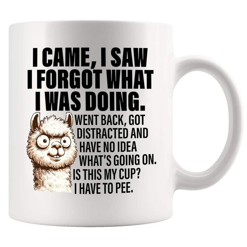 Panvola I Came I Saw I Forgot What I Was Doing Old People Elderly Gifts Women Mom Men Grandpa Grandma 70th 80th 90th Birthday Senior Citizen Gifts People with Dementia Ceramic Mug White 11 oz - Image 2