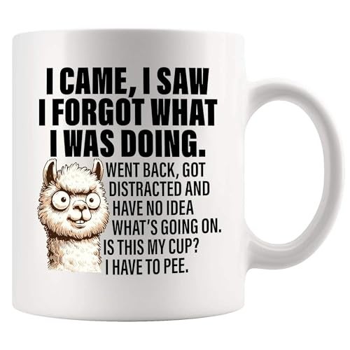 Panvola I Came I Saw I Forgot What I Was Doing Old People Elderly Gifts Women Mom Men Grandpa Grandma 70th 80th 90th Birthday Senior Citizen Gifts People with Dementia Ceramic Mug White 11 oz - Image 1