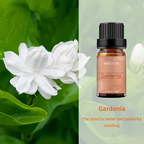 BURIBURI Gardenia Essential Oil, 100% Pure Gardenia Fragrance Oil, Fragrance Oil Essential Oils 10ML for Soap Candle Making - Image 2