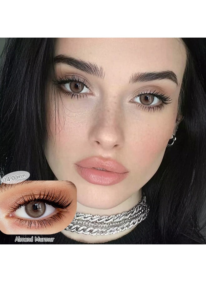 FreshLady Almond Brown Colored Contact Lenses – Yearly Natural Daily Wear, Gentle Eye Enlargement for Everyday Makeup, Expert Recommended - Image 2