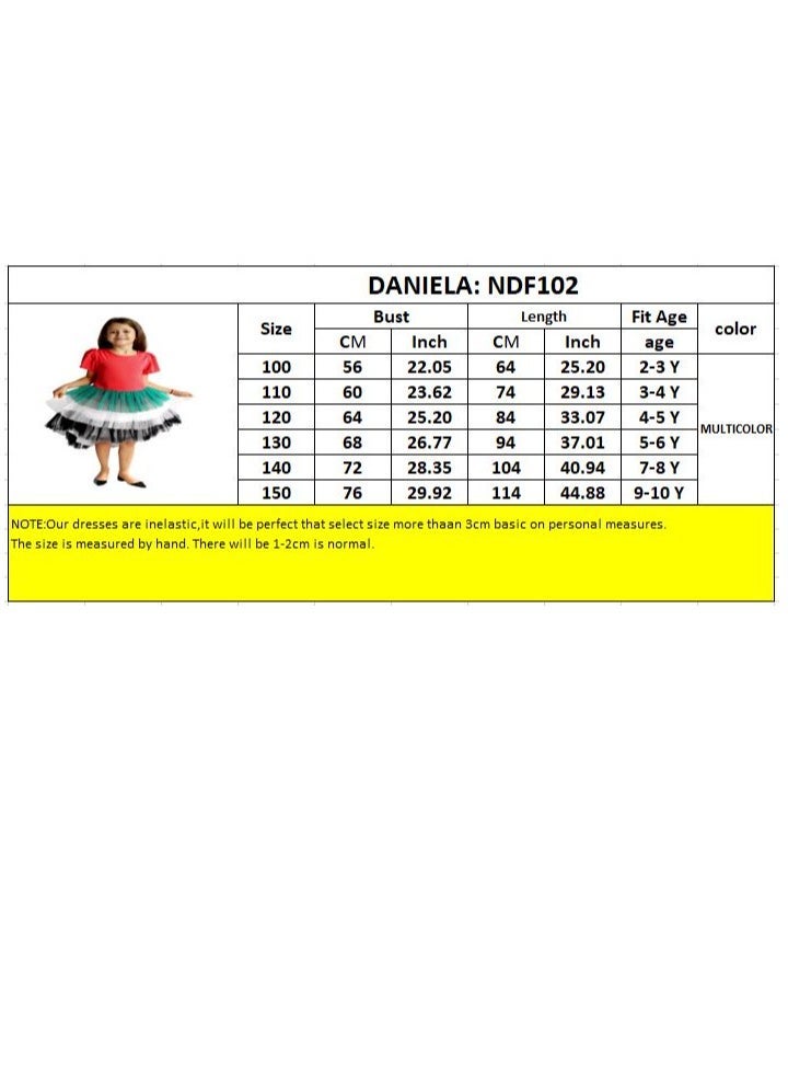 D'Daniela Layered Tulle Dress - Image 4