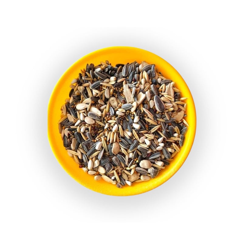 MASHKI Conure Seed Mix All Life Stage Mix Seeds Daily Bird Food Natural Nutrition Diet Food (1 Kg),All Life Stages, 1 Count - Image 3