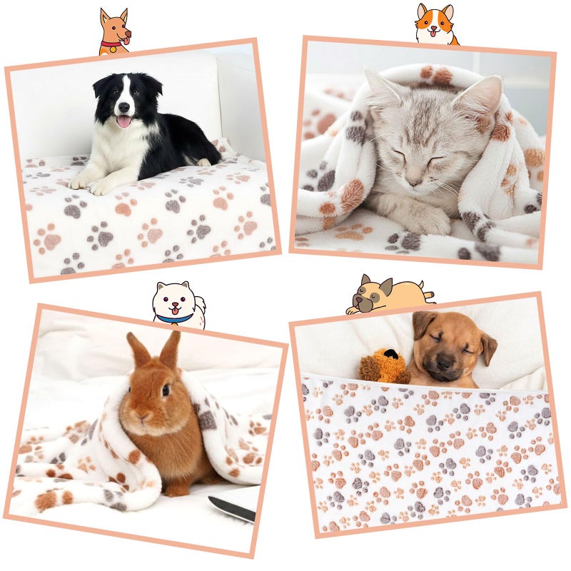 PEASUG Dog Blankets for Medium Dogs, Cat, Premium Soft Dog Blankets for Small Dog Washable, Puppy Blanket Dogs Essentials for Puppies (1, White, 41" x 30") - Image 5