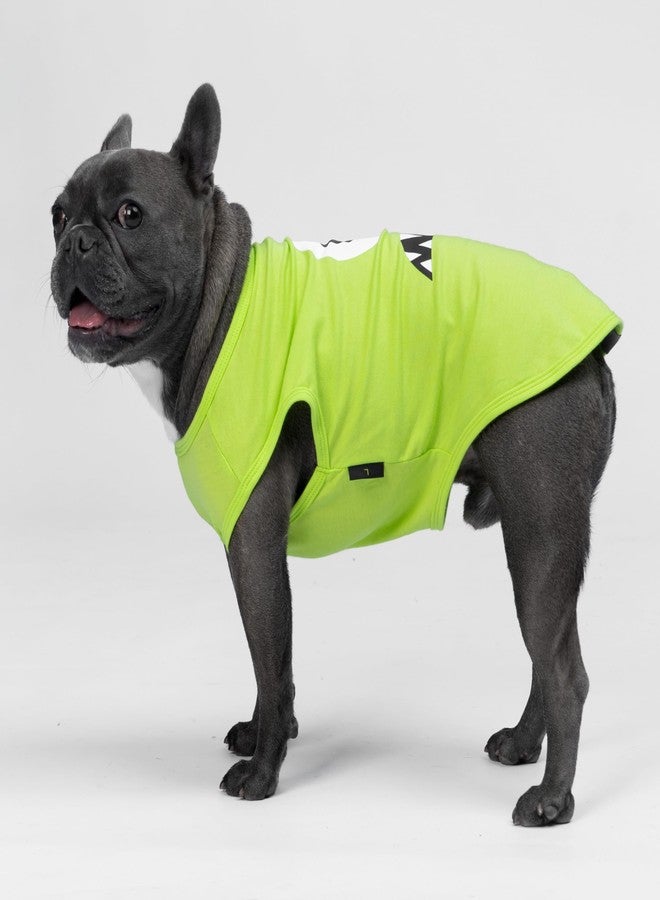 فيت وورم تيشيرت Fitwarm ثلاثي للكلاب بتصميم وحوش، خفيف الوزن ومرح، ملابس صيفية للكلاب الصغيرة (ذكور وإناث)، طقم ملابس للحيوانات الأليفة، برتقالي، أخضر، أزرق مخضر، صغير - Image 2