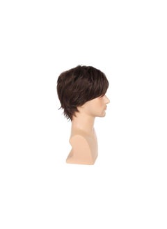 Synthetic Hair Wig For Men Short Straight Brown Color