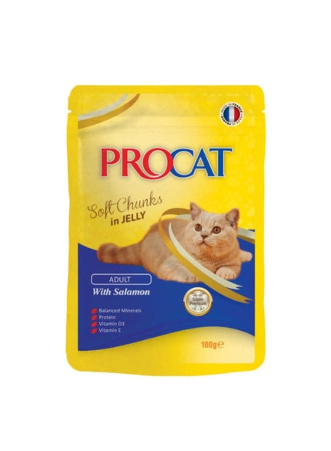 PROCAT Adult Wet Food Soft Chunks with Salmon in Gravy 100 g From Varmacy