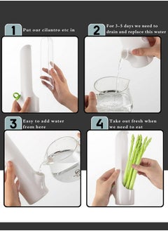 ATRI Herb Saver for Refrigerator, Herb Saver Pod, Vegetable Preservation Bottle, Fresh Herb Keeper for Cilantro, Mint, Parsley, Keeps Greens Fresh for 2-3 Weeks  - Image 3