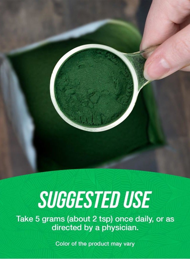 BulkSupplements .com Organic Alfalfa Grass Powder - Alfalfa Supplement, Green Superfood Powder, Alfalfa Powder Organic - Vegan & Gluten Free, 5g per Serving, 250g (8.8 oz) (Pack of 1) - Image 4