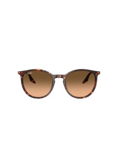 Ray-Ban 0Rb2204 Phantos Sunglasses  - Image 2