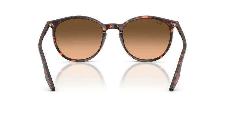 Ray-Ban 0Rb2204 Phantos Sunglasses