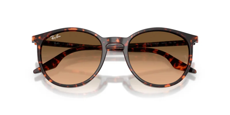 Ray-Ban 0Rb2204 Phantos Sunglasses