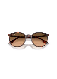 Ray-Ban 0Rb2204 Phantos Sunglasses  - Image 5