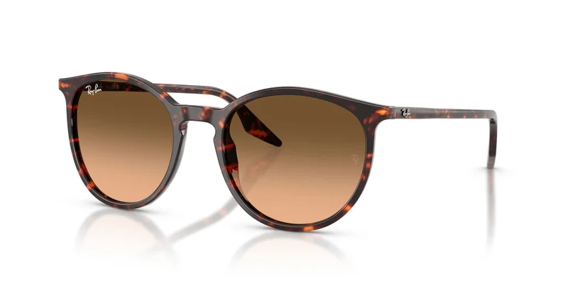Ray-Ban 0Rb2204 Phantos Sunglasses