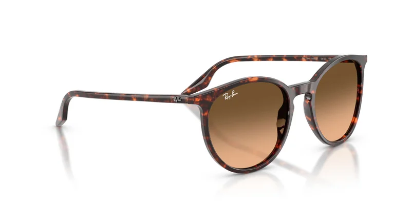 Ray-Ban 0Rb2204 Phantos Sunglasses
