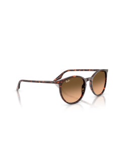 Ray-Ban 0Rb2204 Phantos Sunglasses  - Image 3