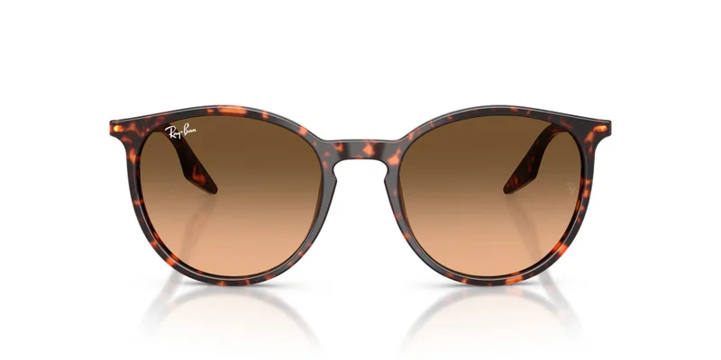 Ray-Ban 0Rb2204 Phantos Sunglasses