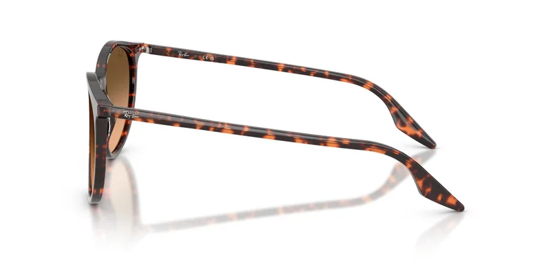 Ray-Ban 0Rb2204 Phantos Sunglasses
