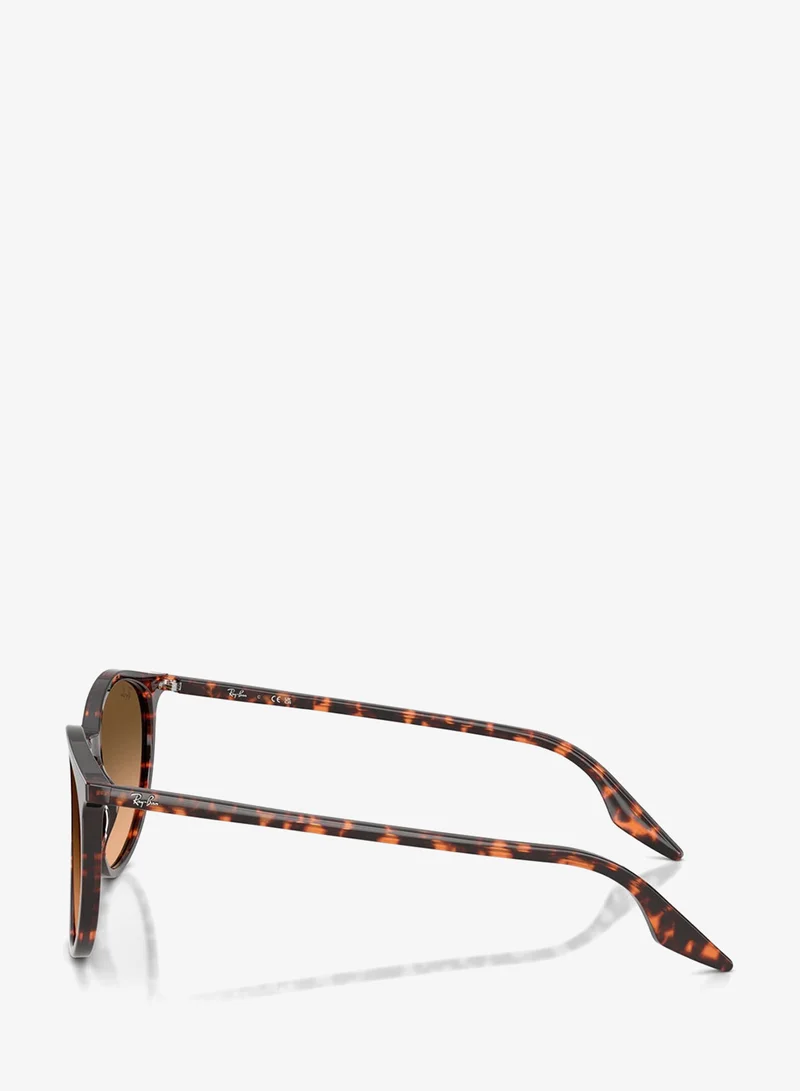 Ray-ban  0Rb2204 Phantos Sunglasses  | Best Price UAE