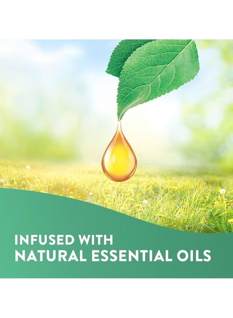 عبوة من 12 قطعة من أعواد توزيع الروائح العطرية برائحة المحيط والمانجو والبطيخ والخوخ والتوت الأسود والياسمين والماء البارد والخزامى والبرتقال والفراولة والفانيليا 12 × 120 1440 مل - Image 3