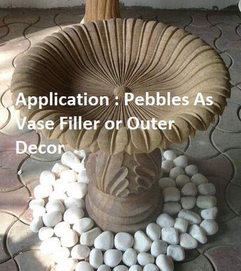 Creative Farmer 10Kg Unpolished White Pebbles Matty Unpolished Home Decorative Vase Fillers Stone 10Kg Q - Image 2