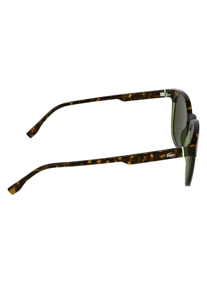 LACOSTE  Rectangle Sunglasses for Men | Best Price UAE
