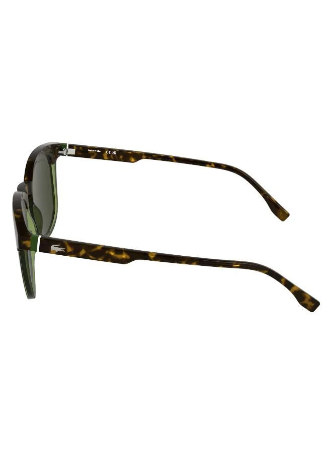LACOSTE  Rectangle Sunglasses for Men | Best Price UAE