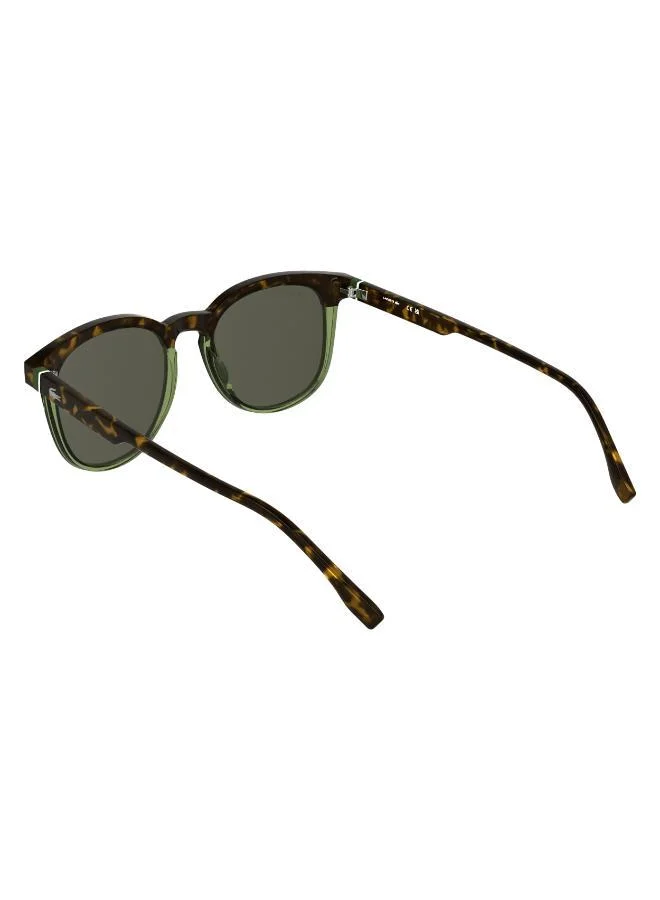 LACOSTE  Rectangle Sunglasses for Men | Best Price UAE