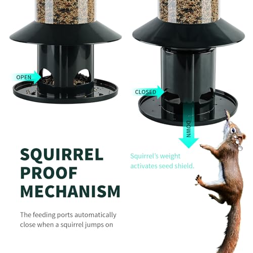 Dreamdrawer Squirrel-Proof Bird Feeder for Outdoor Wild Bird - Image 3