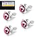 yorpyep 4 PCS License Plate Screws Fastener Kit Sparkling Rhinestone Car Anti Theft Screw Caps Cool Funny License Plate Frame Decorative Screws Bolts Universal for Most Cars Trucks SUVs Pink - Image 2