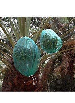 RACO Dates Cover Net Type 65x95 CM with Strong Black Rope, Date Palm Bag/Kajur Bag, Suitable for Protecting The Dates on The Tree. PACK OF 10  - Image 3
