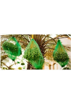 RACO Dates Cover Net Type 65x95 CM with Strong Black Rope, Date Palm Bag/Kajur Bag, Suitable for Protecting The Dates on The Tree. PACK OF 10  - Image 4