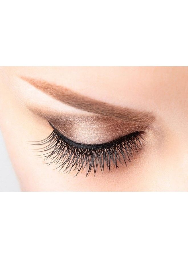 Regular Natural Eyelashes  Natural Style False Eyelash  Invisible Clear Band  Reusable And Lightweight  4 Pack (El160)