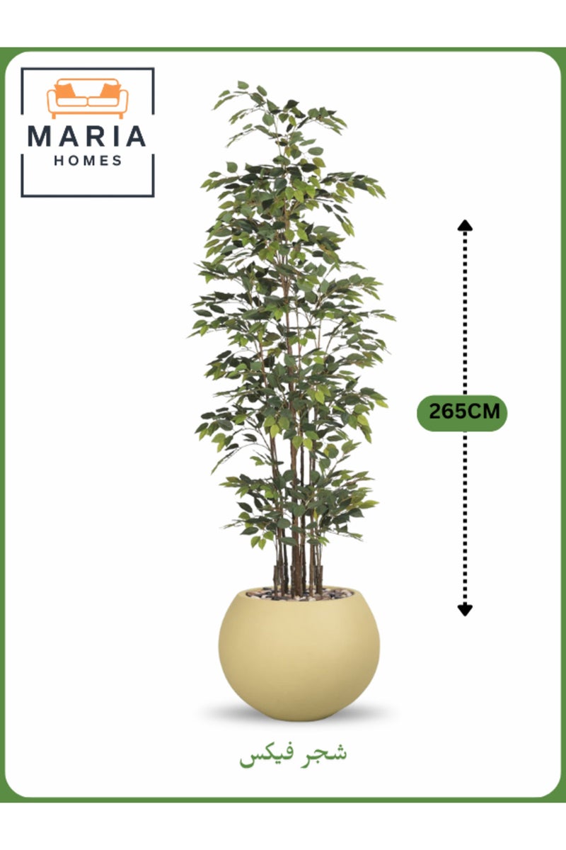 ماريا شجرة فيكس اصطناعية 265 سم - نبات داخلي زخرفي طويل مع وعاء ذهبي - Image 1