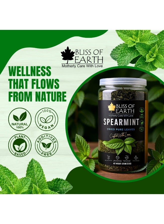 Bliss of Earth Misr Spearmint Leaves 100g | Premium Dried Pure Mint Leaves | Plant Based | Vegan | For Detox Drink & Culinary Use - Image 3