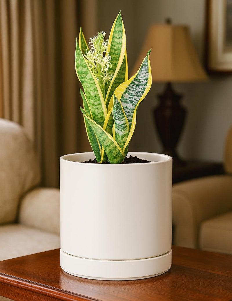 D'vine Dev 6.5 Inch Ceramic Planter Pot with Drainage Hole and Saucer, Indoor Cylinder Round Planter Pot, Oatmeal, 94-O-C-8 - Image 2