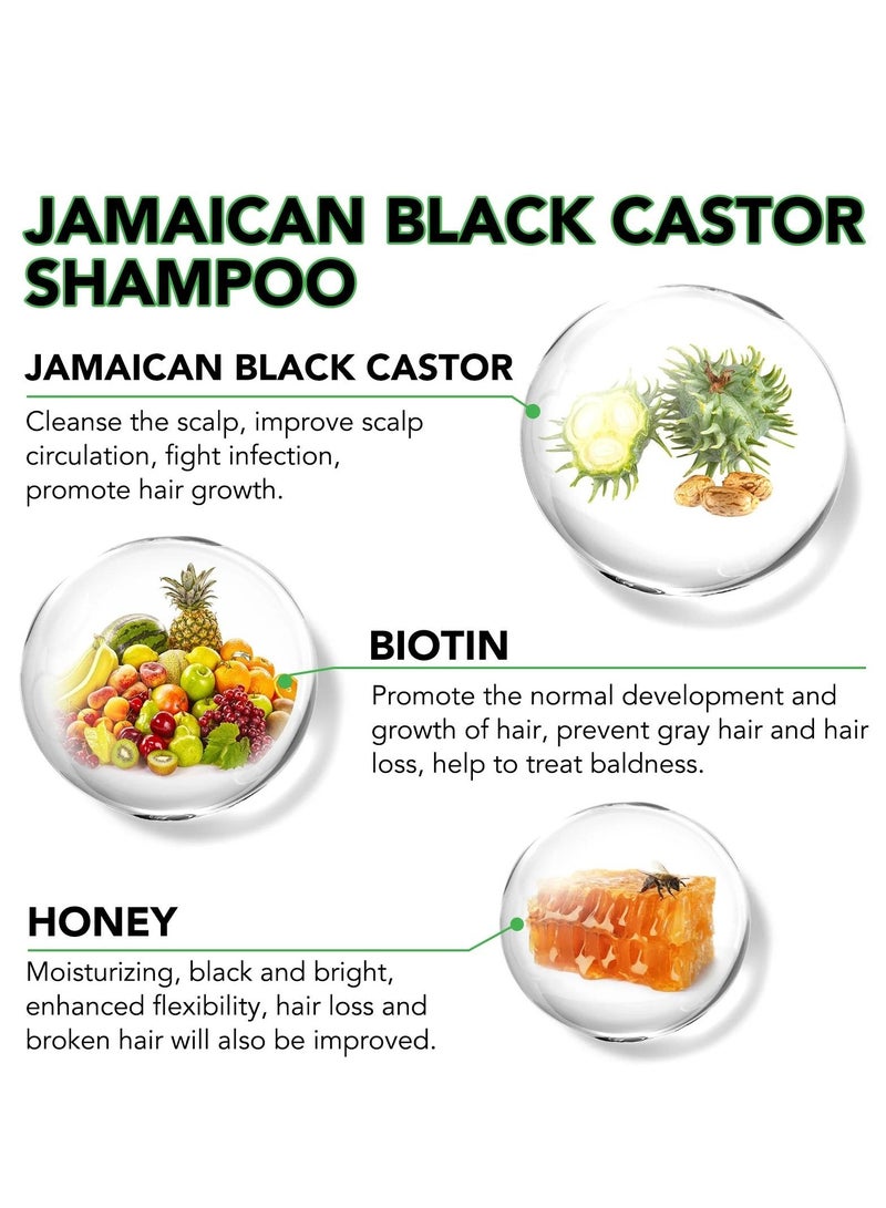 ALIVER شامبو زيت الخروع الأسود الجامايكي 300 مل شامبو زيت الخروع الطبيعي لنمو الشعر وتقوية وتغذية الشعر الرقيق والجاف واستعادة الشعر التالف المتساقط شامبو زيت الخروع - Image 5