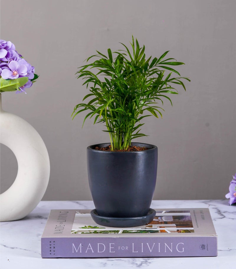 Nurturing Green® Modern Design Charcoal Grey Ceramic Pot for Home, Indoor Décor & Gifting | Flower Pots (Size: 4.25 Wide | Comes with Bottom Plate) - [Plants are not Included] - Image 2