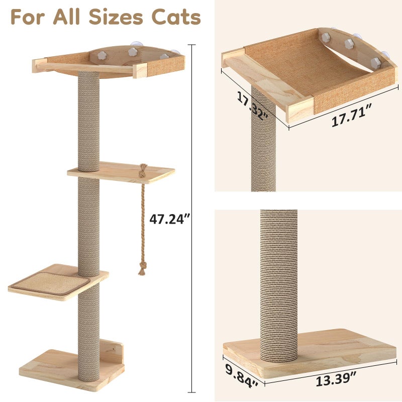 Yafylly Cat Window Perch with Scratching Post & Step, 47" Adjustable Window Perch for Large Cats, Cat Hammock for Window with Suction Cups, Multi-Level Cat Tree for Climbing, Sunbath, Bird Watching - Image 2
