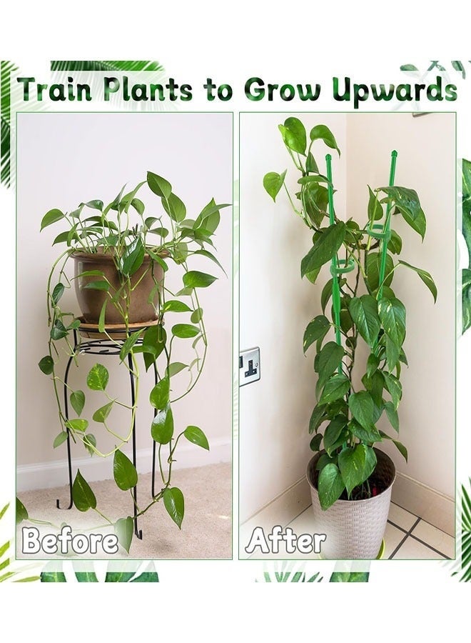 شاو تشن رصيص النبات، 16 قطعة من البسكويت عصي دعم النبات الطول القابل للضبط مع 16 قلادة و 8 وصلات للحديقة الداخلية الخارجية وخضروات الطماطم الوردية -18 بوصة و 11 بوصة - Image 4