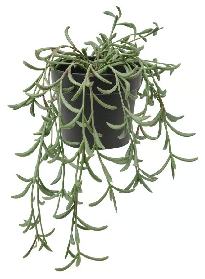 Ikea Artificial Fake Fall Plants Flowers for Outdoor Outside Decoration, UV Resistant Look Real No Fade for Front Door Porch Patio Yard Balcony Autumn Decor, in/outdoor/String of bananas hanging, 9 cm - Image 1