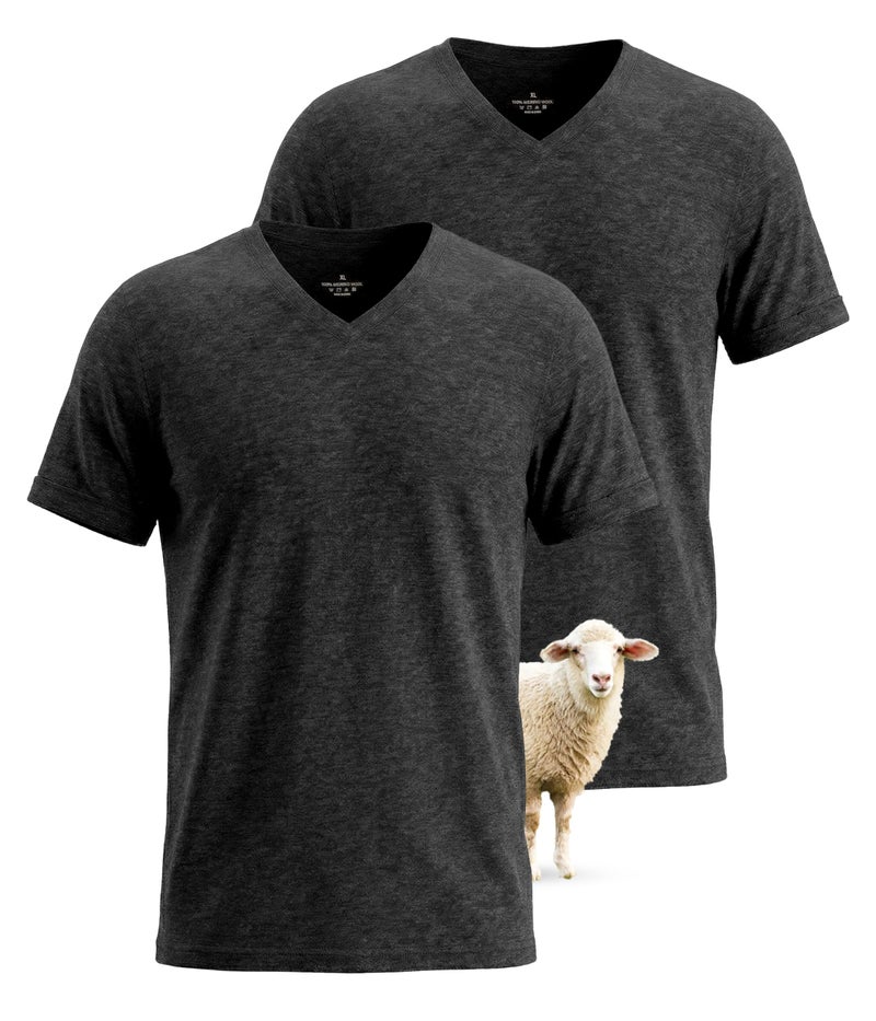 SUNCHIRI 2 Pack Merino Wool T Shirts for Men Merino Wool VNeck 100 Wool Base Layer Breathable Undershirt for Travel FitnessDarkgrey L - Image 2