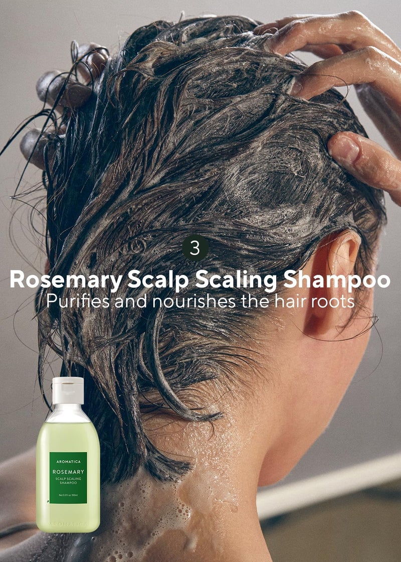 AROMATICA Rosemary Scalp Scaling Trial Kit - Travel Size Korean Hair Care Kit for Women with Mini Wooden Brush, Gentle Exfoliating Scalp Care for Hair Growth Product, with Rosemary Oil & Vegan Formula - Image 5