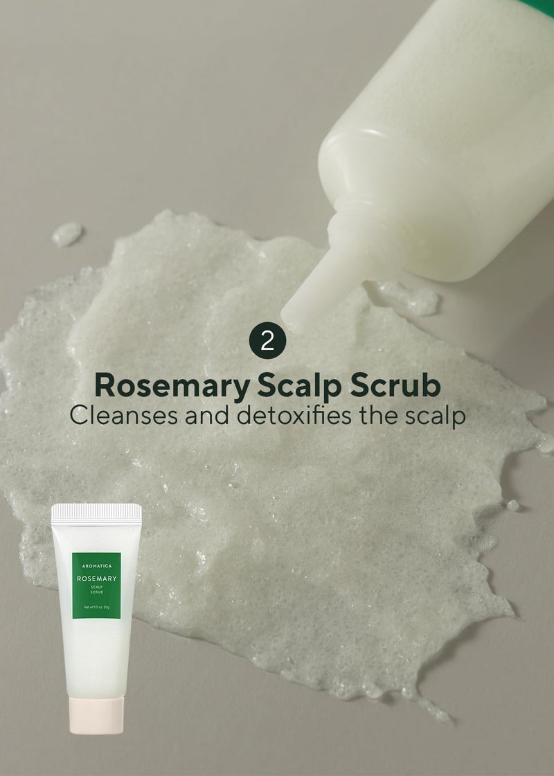 AROMATICA Rosemary Scalp Scaling Trial Kit - Travel Size Korean Hair Care Kit for Women with Mini Wooden Brush, Gentle Exfoliating Scalp Care for Hair Growth Product, with Rosemary Oil & Vegan Formula - Image 4